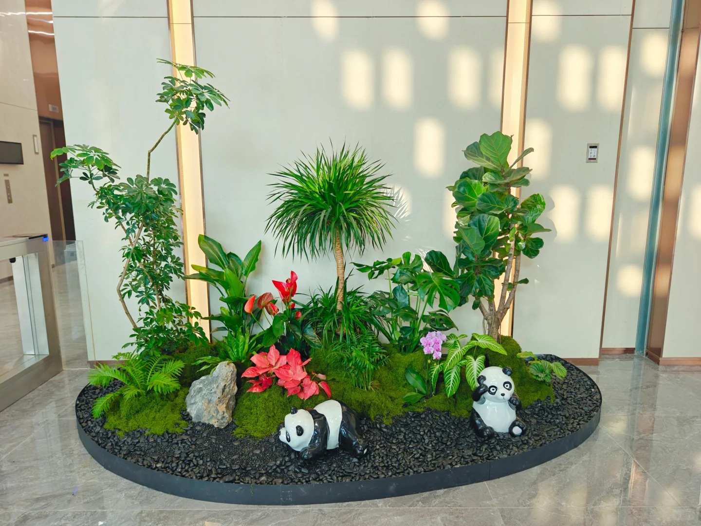 杭州湾花卉租赁 杭州湾花卉租赁